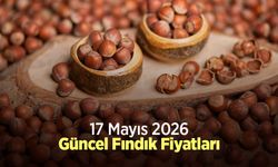 17 Mayıs 2026 Güncel Fındık Fiyatları