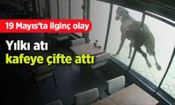 19 Mayıs'ta ilginç olay: Yılkı atı kafeye çifte attı