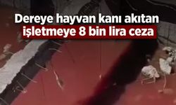 Samsun’da Dereye Hayvan Kanı Akıtan İşletmeye 8 Bin 687 Lira Ceza
