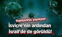 Hantavirüs yayılıyor: İsviçre'nin ardından İsrail'de de görüldü!
