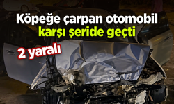 Köpeğe çarpan otomobil karşı şeride geçti: 2 yaralı