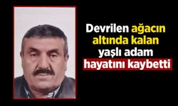 Devrilen ağacın altında kalan yaşlı adam hayatını kaybetti