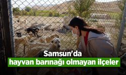 Samsun'da hayvan barınağı olmayan ilçeler