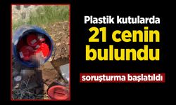 Plastik kutularda 21 cenin bulundu