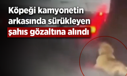 Köpeği kamyonetin arkasında sürükleyen şahıs gözaltına alındı