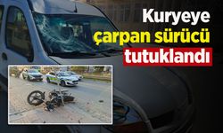 Kuryeye çarpan sürücü tutuklandı