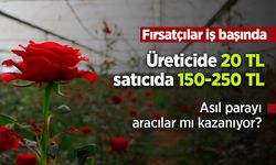 Fırsatçıları iş başında: Üreticide 20 TL, satıcıda 150-250 TL