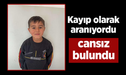 Kayıp olarak aranıyordu, cansız bulundu