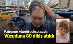 Patronun köpeği dehşet saçtı: Vücuduna 80 dikiş atıldı