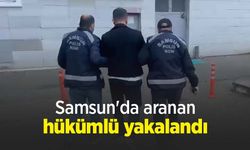 Samsun'da aranan hükümlü yakalandı