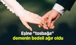 Eşine "tosbağa" demenin bedeli ağır oldu