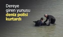 Dereye giren yunusu deniz polisi kurtardı