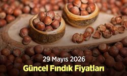 29 Mayıs 2026 Güncel Fındık Fiyatları