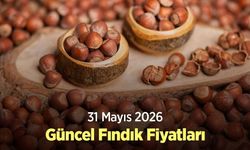 31 Mayıs 2026 Güncel Fındık Fiyatları