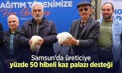 Samsun’da üreticiye yüzde 50 hibeli kaz palazı desteği