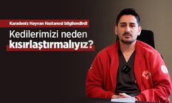 Karadeniz Hayvan Hastanesi bilgilendirdi: "Kedilerimizi neden kısırlaştırmalıyız?"