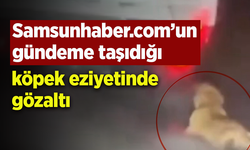 Samsunhaber.com’un gündeme taşıdığı köpek eziyetinde gözaltı