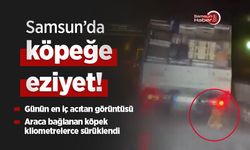 Samsun’da köpeğe eziyet görüntüsü tepki çekti