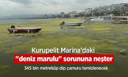 Kurupelit Marina'daki "deniz marulu" sorununa neşter: 345 bin metreküp dip çamuru temizlenecek