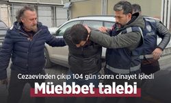 Cezaevinden çıkıp 104 gün sonra cinayet işledi: Müebbet talebi