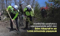 İstanbul'da uyuşturucu operasyonunda şehit olan Emre Albayrak’ın adı hatıra ormanında yaşayacak