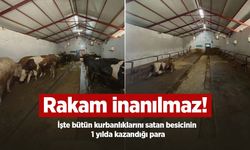 Rakam inanılmaz! İşte bütün kurbanlıklarını satan besicinin 1 yılda kazandığı para