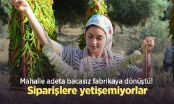 Mahalle adeta bacasız fabrikaya dönüştü! Siparişlere yetişemiyorlar