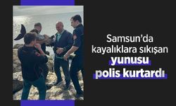 Samsun’da kayalıklara sıkışan yunusu polis kurtardı