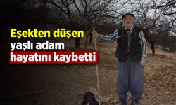 Eşekten düşen yaşlı adam hayatını kaybetti
