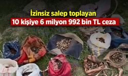 İzinsiz salep toplayan 10 kişiye 6 milyon 992 bin TL ceza