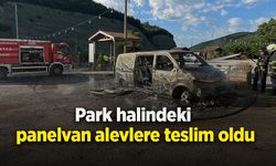 Park halindeki panelvan alevlere teslim oldu
