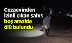 Cezaevinden izinli çıkan şahıs boş arazide ölü bulundu