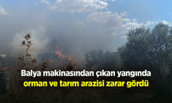 Balya makinasından çıkan yangında orman ve tarım arazisi zarar gördü