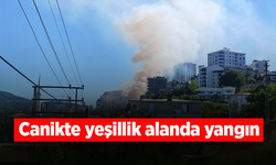 Canik'te yeşillik alanda yangın