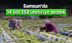 Samsun'da 14 bin 358 üreticiye destek