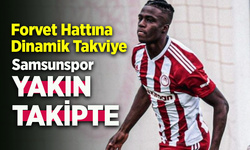 Forvet Hattına Dinamik Takviye