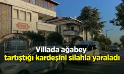 Villada ağabey tartıştığı kardeşini silahla yaraladı