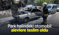 Park halindeki otomobil alevlere teslim oldu