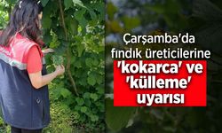 Çarşamba'da fındık üreticilerine 'kokarca' ve 'külleme' uyarısı