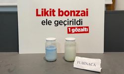 Likit bonzai ele geçirildi: 1 gözaltı