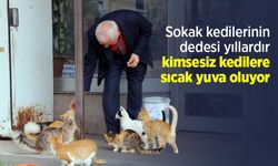Sokak kedilerinin dedesi yıllardır kimsesiz kedilere sıcak yuva oluyor