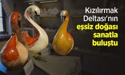 Kızılırmak Deltası'nın eşsiz doğası sanatla buluştu
