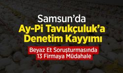 Samsun’da Ay-Pi Tavukçuluk’a Denetim Kayyımı: Beyaz Et Soruşturmasında 13 Firmaya Müdahale