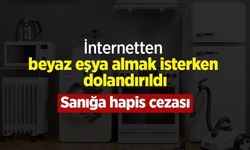 İnternetten beyaz eşya almak isterken dolandırıldı: Sanığa hapis cezası