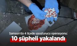 Samsun'da 4 ilçede uyuşturucu operasyonu: 10 şüpheli yakalandı