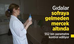 Gıdalar sofraya gelmeden mercek altında: 552 bin parametre kontrol ediliyor