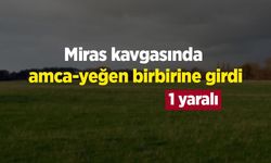 Miras kavgasında amca-yeğen birbirine girdi: 1 yaralı