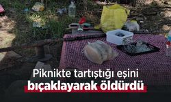 Piknikte tartıştığı eşini bıçaklayarak öldürdü