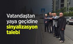 Vatandaştan yaya geçidine sinyalizasyon talebi
