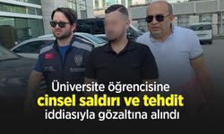 Üniversite öğrencisine cinsel saldırı ve tehdit iddiasıyla gözaltına alındı